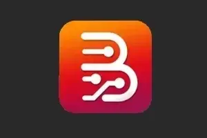 Borneo Schematic Activation 3 Mois – Licence officielle pour 1 utilisateur